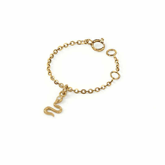 Snake Watch Charm